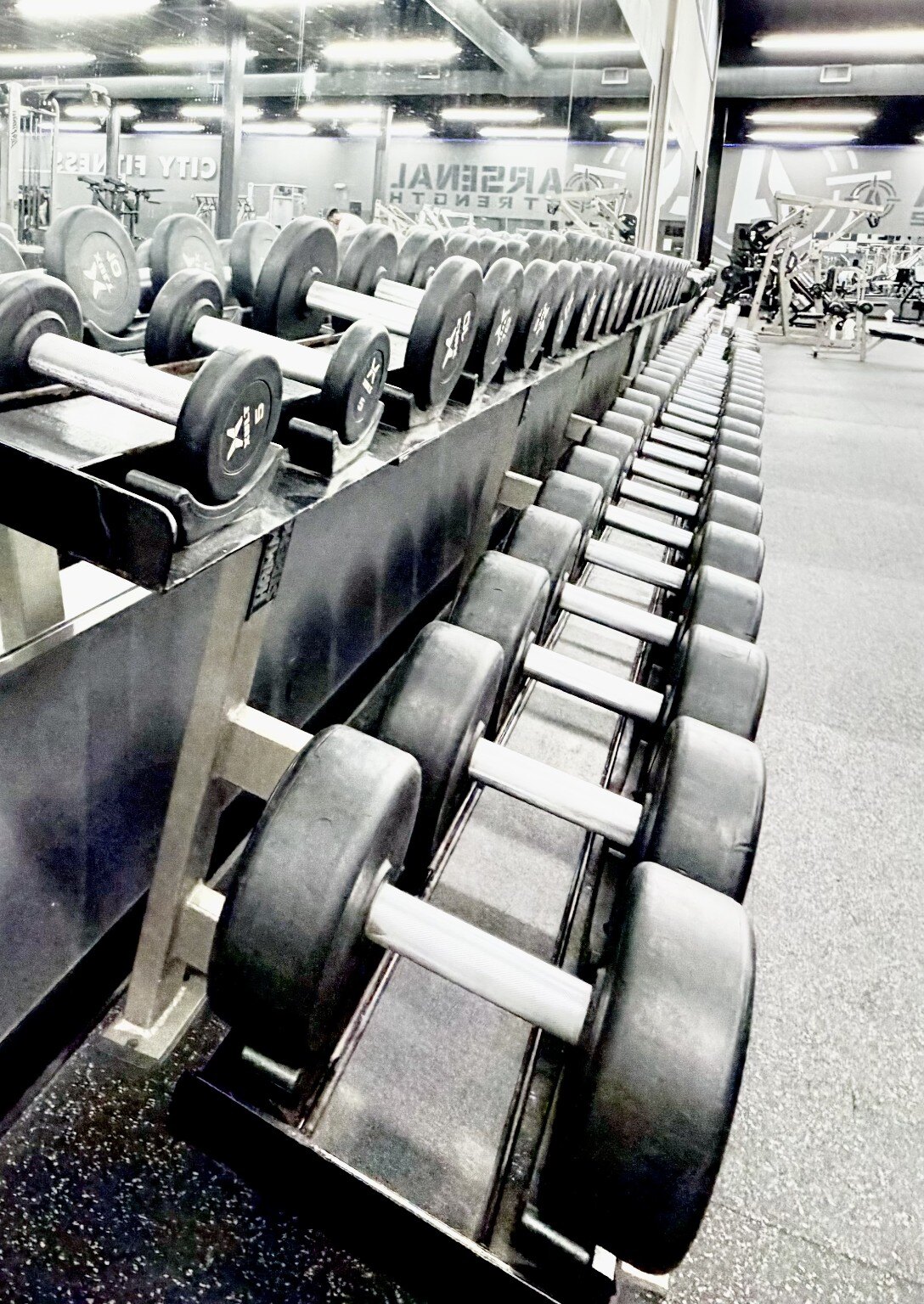 Dumbbell racks at City Fitness